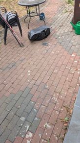 Free Cobblelock Paving Bricks - Collection Only