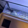 Fluval Spec 19L Image 4