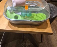 hamster crate