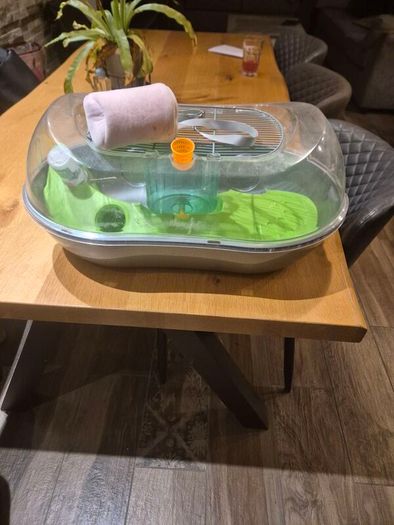 hamster crate