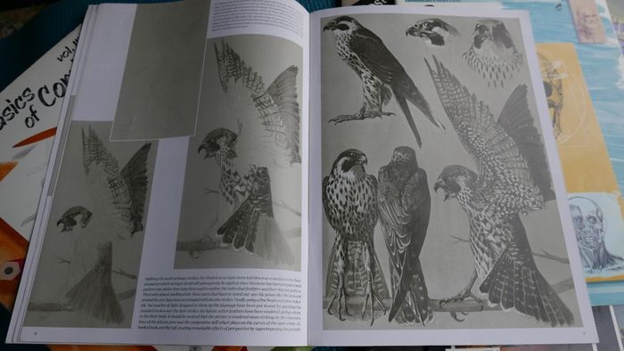 Collection of Vintage Books