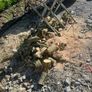 firewood Image 3
