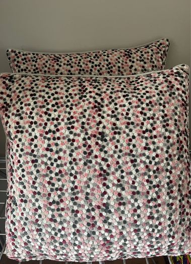 2 Large Cushions FREE