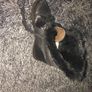 Black Leather & Fur Vintage Ankle Boots Image 9