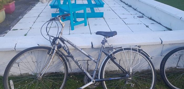 2 bikes for sale, need work