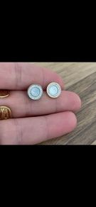 Stainless steel earrings