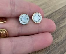 Stainless steel earrings