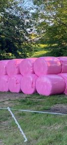 Silage bales