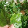 15 x Great Long Silk Ivy Garlands - 37mtrs / 121ft Image 2