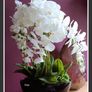 Extra Large Beautifull Flower like real 60 cm tall Image 4