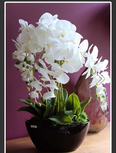 Extra Large Beautifull Flower like real 60 cm tall