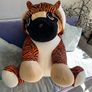 Teddy Image 3