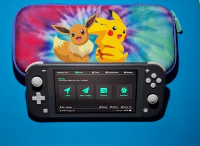 Nintendo Switch Lite - Grey (Modded)