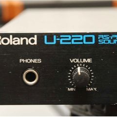 Roland u220 Sund module