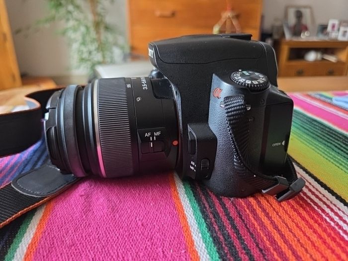 Sony A390