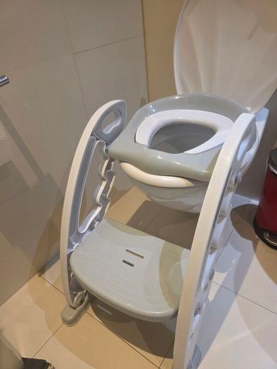 Babylo Toilet Training Seat with Step