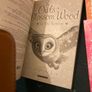 Catherine Coe The owls of Blossom Wood Image 6