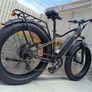 Fully Legal E-bike Image 2