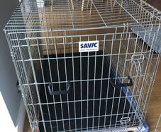 XL savic dog crate