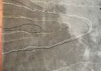 Designer Rug