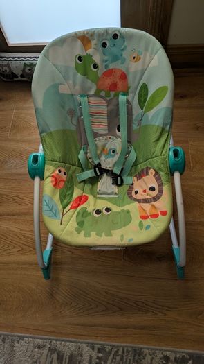 Baby bouncing chair