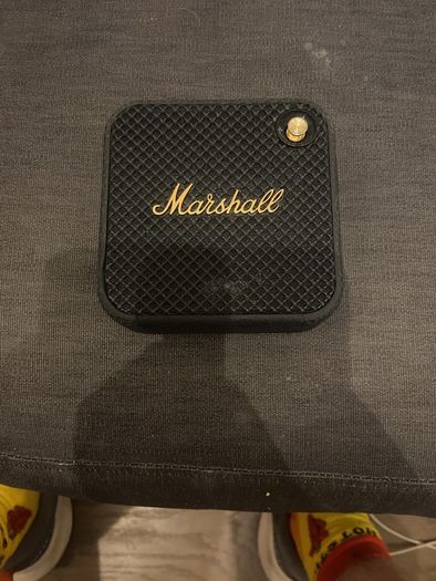 marshall willen speaker