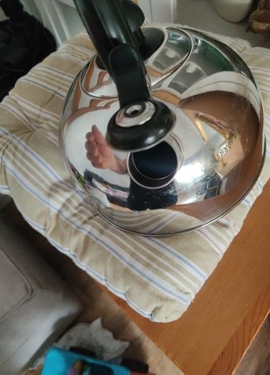 Stainless Steel Whistling Kettle