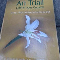 An Triail - Cabhair agus Cunamh
