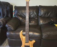Bass Guitar (w gig bag)