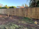 Garden Fencing Image 7