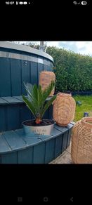 plant hangers