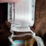 Jellycat Briggs Beaver Canadian Exclusive BNWT Image 9