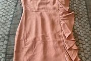 Size 10 Rose Pink dress