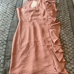 Size 10 Rose Pink dress