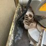 dewalt Image 6