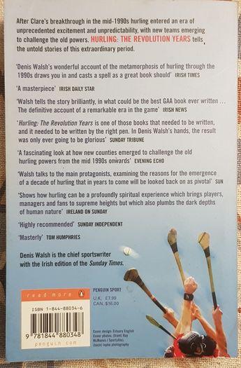 Hurling: The Revolution Years by Denis Walsh