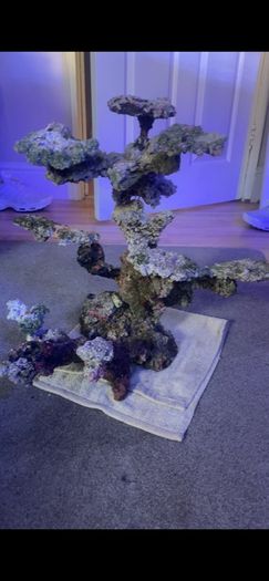 Reef rock