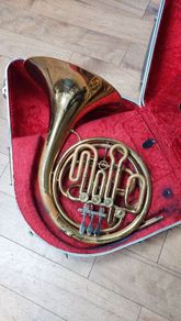 brass French horn in hard case