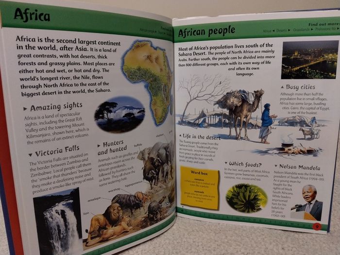 First Fun Encyclopedia Hardback Book