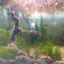 60L Fully Cycled and Planted Aquarium Image 3