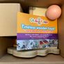 Djeco Baby Nut Wooden Toy Image 3