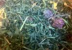 Redigrass with Meadow Flowers (200g)