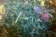 Redigrass with Meadow Flowers (200g)