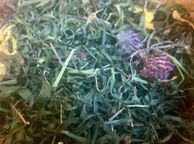 main image for ad Redigrass with Meadow Flowers (200g)