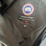 Canada goose Image 3