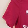 british and irish lions jersey Image 2