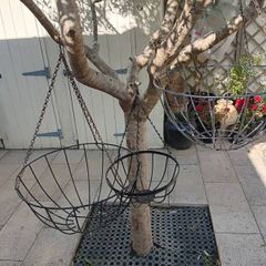 Hanging Baskets x 3