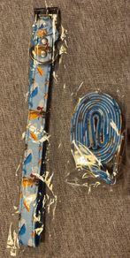 Wallace & Gromit Dog Collar & Lead