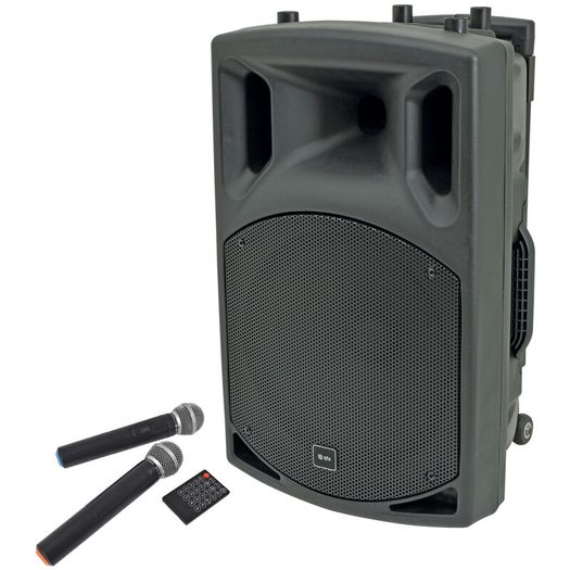 12" Bluetooth PA Speaker