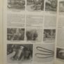 Saab 900 Haynes Manual Image 6